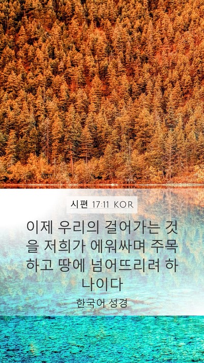 시편 17:11 KOR Mobile Phone Wallpaper - 이제 우리의 걸어가는 것을 저희가 - Mobile Bible Verse Wallpaper