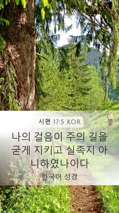 시편 17:5 KOR Bible Verse Image