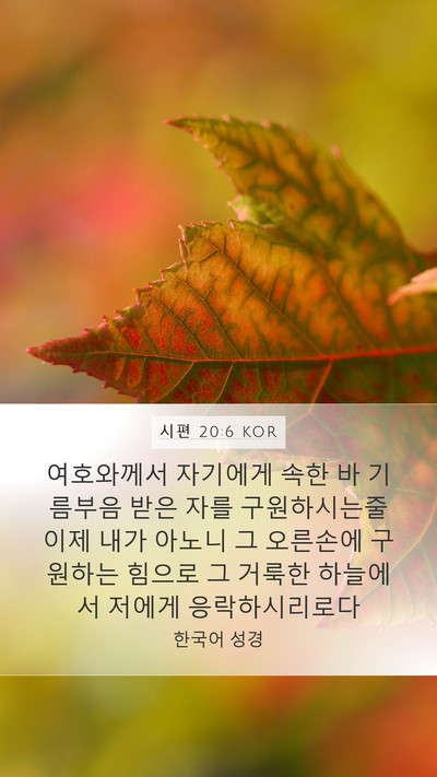 시편 20:6 KOR Bible Verse Image