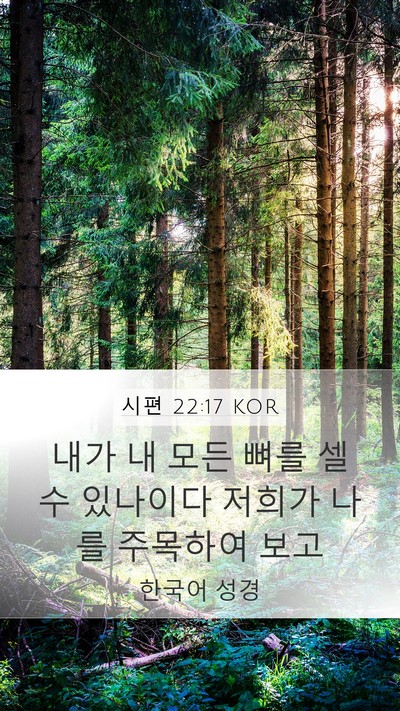 시편 22:17 KOR Mobile Phone Wallpaper - 내가 내 모든 뼈를 셀 수 있나이다 - Mobile Bible Verse Wallpaper