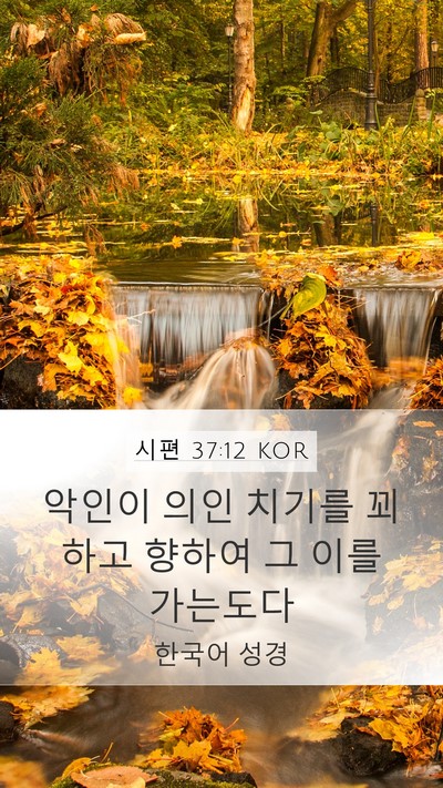 시편 37:12 KOR Bible Verse Image