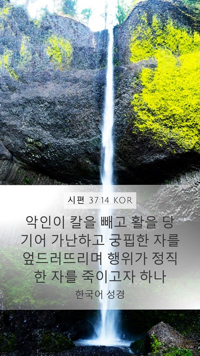 시편 37:14 KOR Bible Verse Image