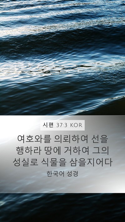 시편 37:3 KOR Bible Verse Image