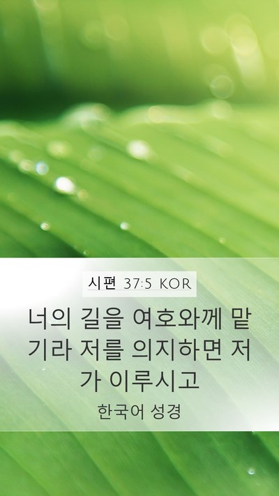 시편 37:5 KOR Bible Verse Image