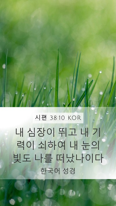 시편 38:10 KOR Mobile Phone Wallpaper - 내 심장이 뛰고 내 기력이 쇠하여 내 - Mobile Bible Verse Wallpaper