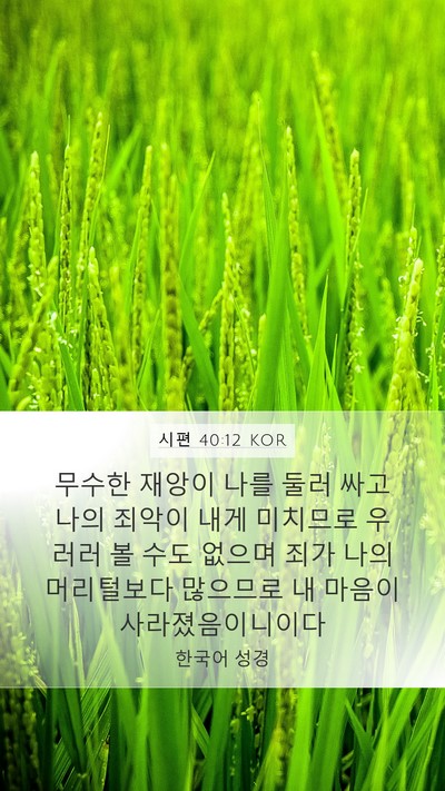 시편 40:12 KOR Bible Verse Image