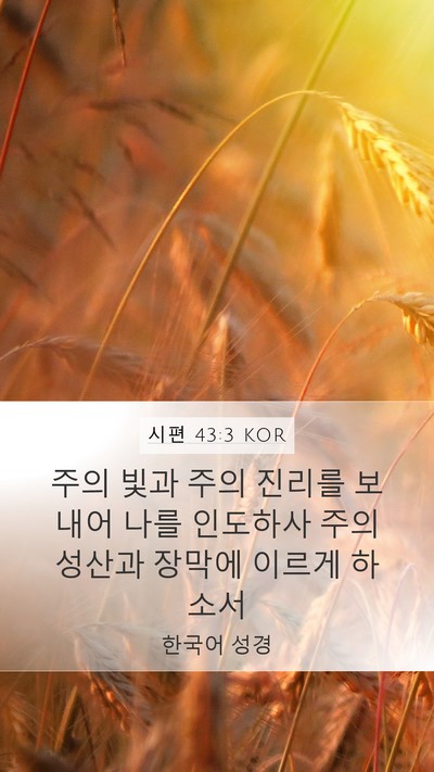 시편 43:3 KOR Bible Verse Image