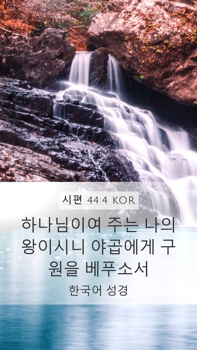 시편 44:4 KOR Bible Verse Image