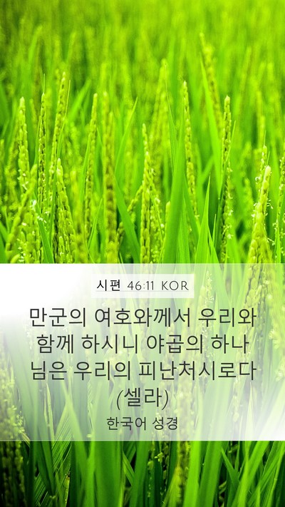 시편 46:11 KOR Bible Verse Image