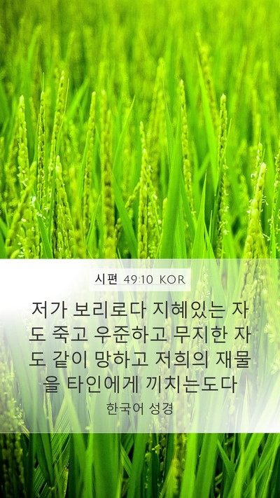 시편 49:10 KOR Bible Verse Image
