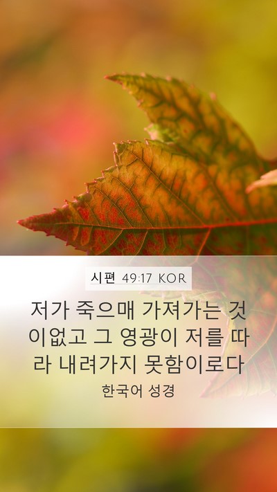 시편 49:17 KOR Bible Verse Image