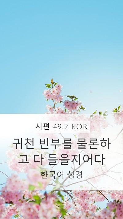시편 49:2 KOR Mobile Phone Wallpaper - 귀천 빈부를 물론하고 다 - Mobile Bible Verse Wallpaper