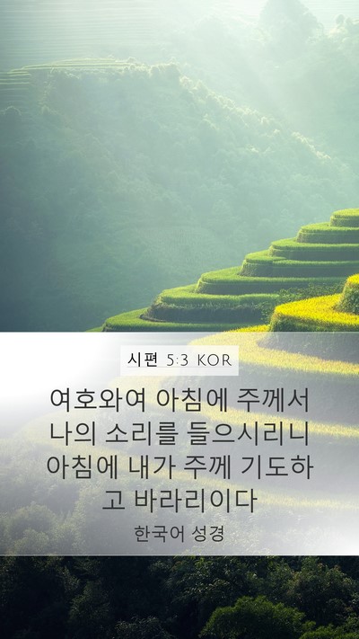 시편 5:3 KOR Bible Verse Image