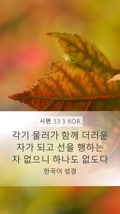 시편 53:3 KOR Mobile Phone Wallpaper - 각기 물러가 함께 더러운 자가 되고 - Mobile Bible Verse Wallpaper