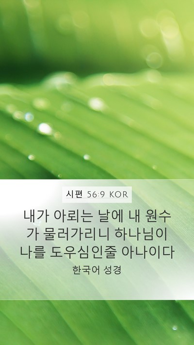 시편 56:9 KOR Bible Verse Image