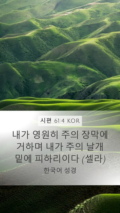 시편 61:4 KOR Bible Verse Image