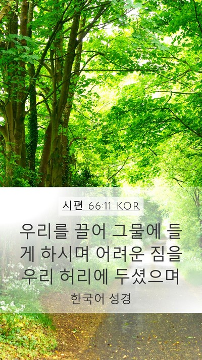 시편 66:11 KOR Mobile Phone Wallpaper - 우리를 끌어 그물에 들게 하시며 - Mobile Bible Verse Wallpaper