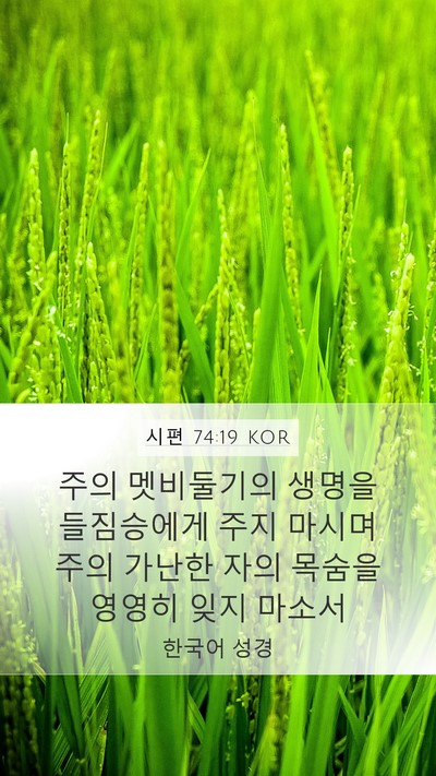시편 74:19 KOR Mobile Phone Wallpaper - 주의 멧비둘기의 생명을 들짐승에게 - Mobile Bible Verse Wallpaper