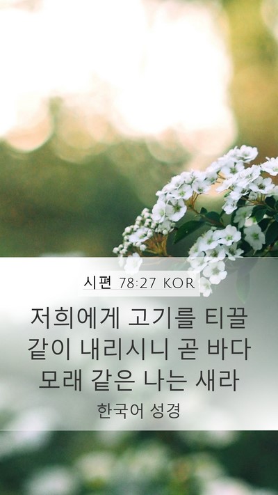 시편 78:27 KOR Bible Verse Image