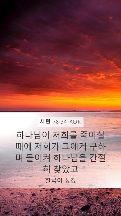 시편 78:34 KOR Bible Verse Image
