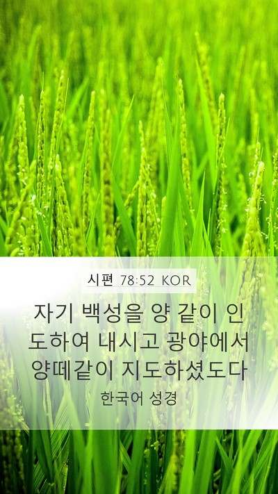 시편 78:52 KOR Bible Verse Image