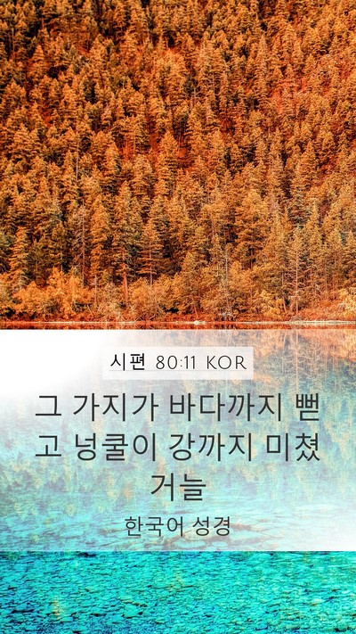 시편 80:11 KOR Mobile Phone Wallpaper - 그 가지가 바다까지 뻗고 넝쿨이 - Mobile Bible Verse Wallpaper
