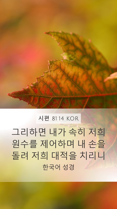 시편 81:14 KOR Bible Verse Image