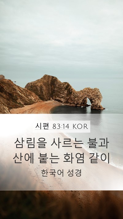 시편 83:14 KOR Mobile Phone Wallpaper - 삼림을 사르는 불과 산에 붙는 화염 - Mobile Bible Verse Wallpaper