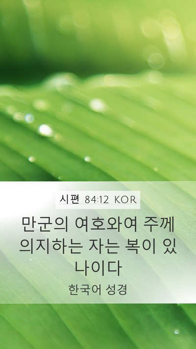 시편 84:12 KOR Bible Verse Image