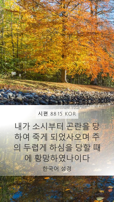 시편 88:15 KOR Bible Verse Image