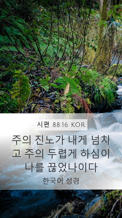 시편 88:16 KOR Bible Verse Image