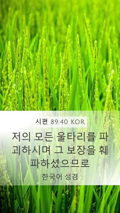 시편 89:40 KOR Bible Verse Image