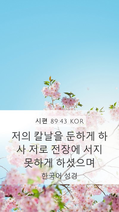 시편 89:43 KOR Mobile Phone Wallpaper - 저의 칼날을 둔하게 하사 저로 - Mobile Bible Verse Wallpaper