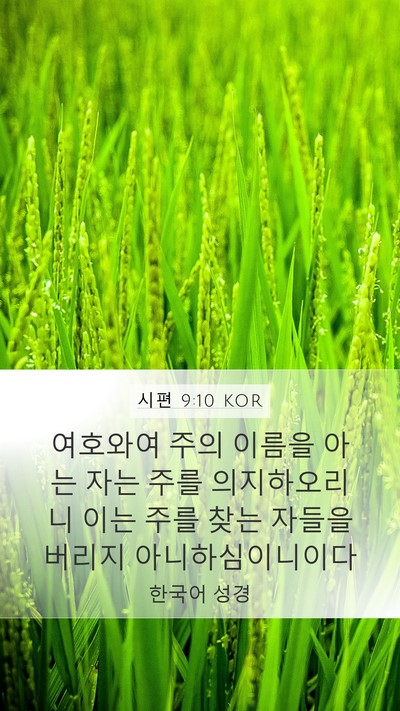 시편 9:10 KOR Bible Verse Image