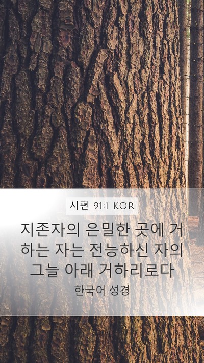 시편 91:1 KOR Bible Verse Image