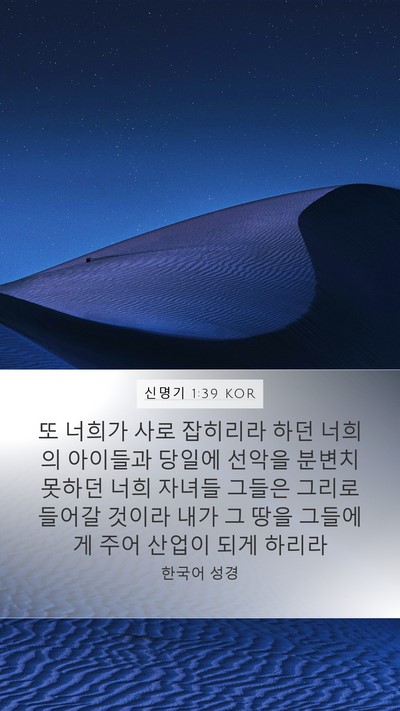 신명기 1:39 KOR Bible Verse Image