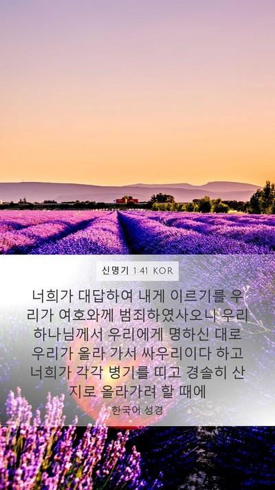 신명기 1:41 KOR Bible Verse Image