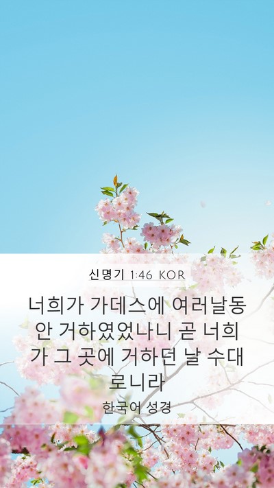 신명기 1:46 KOR Mobile Phone Wallpaper - 너희가 가데스에 여러날동안 - Mobile Bible Verse Wallpaper
