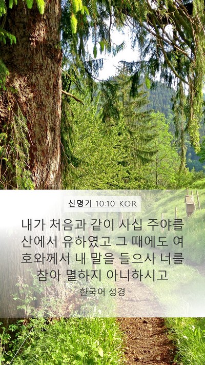 신명기 10:10 KOR Bible Verse Image