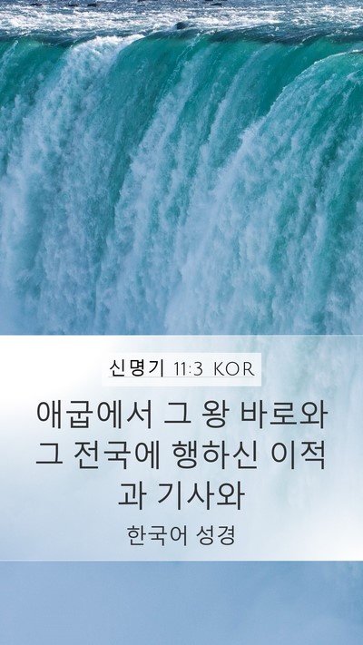 신명기 11:3 KOR Mobile Phone Wallpaper - 애굽에서 그 왕 바로와 그 전국에 - Mobile Bible Verse Wallpaper