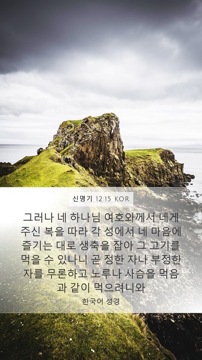 신명기 12:15 KOR Bible Verse Image