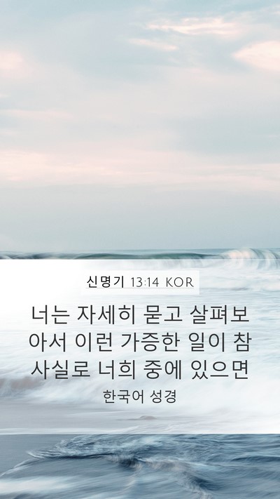 신명기 13:14 KOR Bible Verse Image