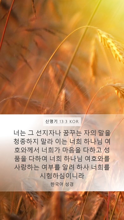 신명기 13:3 KOR Bible Verse Image