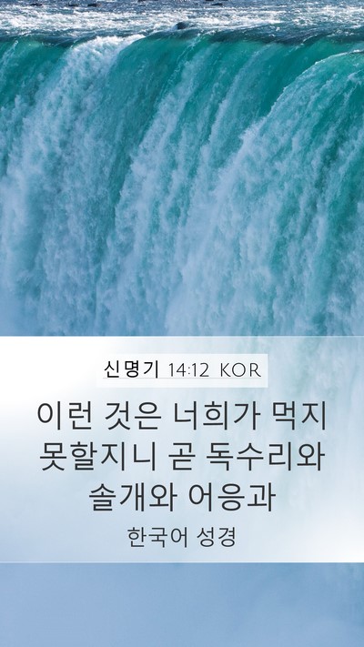신명기 14:12 KOR Bible Verse Image