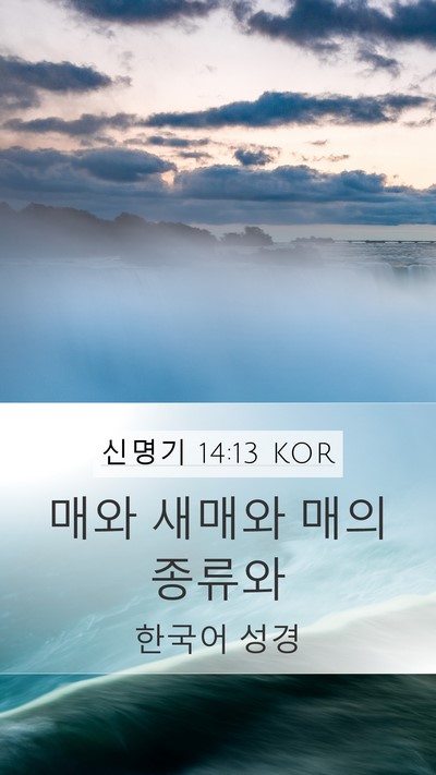 신명기 14:13 KOR Mobile Phone Wallpaper - 매와 새매와 매의 - Mobile Bible Verse Wallpaper