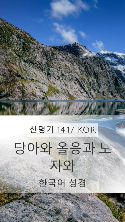 신명기 14:17 KOR Mobile Phone Wallpaper - 당아와 올응과 - Mobile Bible Verse Wallpaper