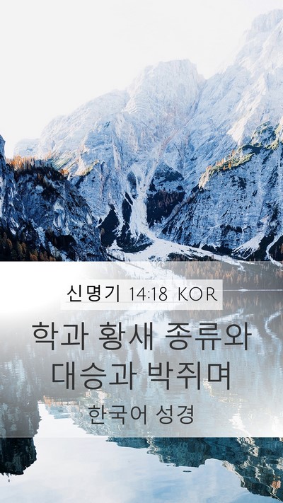 신명기 14:18 KOR Mobile Phone Wallpaper - 학과 황새 종류와 대승과 - Mobile Bible Verse Wallpaper