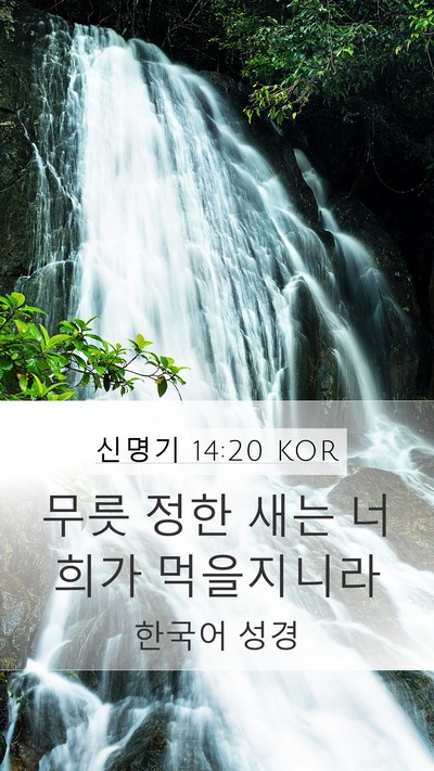 신명기 14:20 KOR Mobile Phone Wallpaper - 무릇 정한 새는 너희가 - Mobile Bible Verse Wallpaper