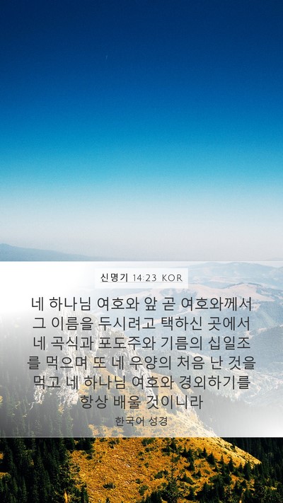 신명기 14:23 KOR Bible Verse Image