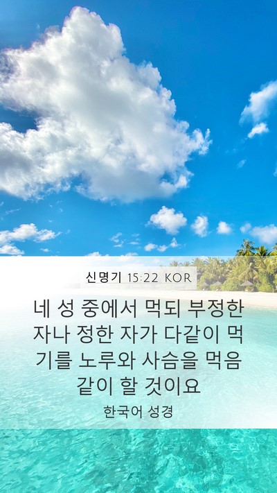 신명기 15:22 KOR Mobile Phone Wallpaper - 네 성 중에서 먹되 부정한 자나 정한 - Mobile Bible Verse Wallpaper